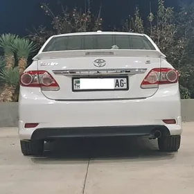 corolla carolla karolla haliji