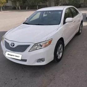 Toyota Camry 2010