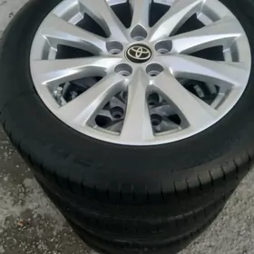 le Diska pakyryska 17