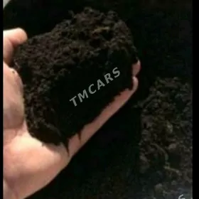 DERS MİTİ PULPA GUM CAGE TOYUN