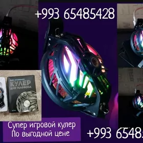 SATLIK IGROWOY KULYR