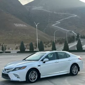 Toyota Camry 2020