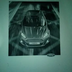 kitap Ford Fiesta