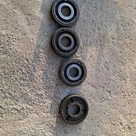 GAZEL MUFTYCKA IRI DISLISI