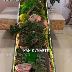 Новинка фитопанно 3д