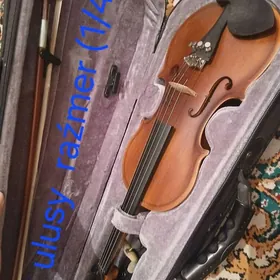 Skripka Skripka Skripkaa