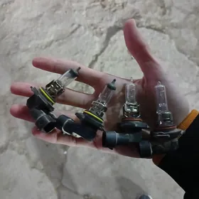 Toyota sary cyralar komplekt