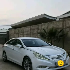 Hyundai Sonata 2010