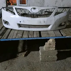 okuzkele 2010 zapjas