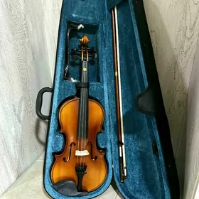 Skripka/Скрипка