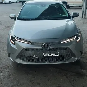 Toyota Corolla 2022