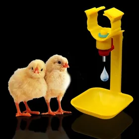 Towuk juyje üçin suwluk