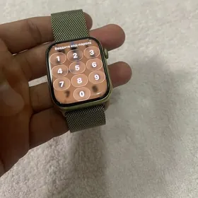 apple watch 7 steinless steel