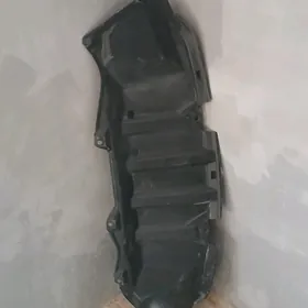 Karolan matorin zasitasi