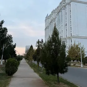 Московская элитка