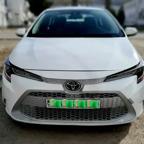 Toyota Corolla 2021
