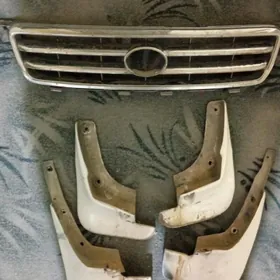 babychka brazgawik obilsowka