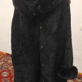 Angorka galyñ žempir