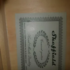 Sheffield consert guitar