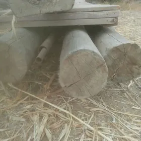 rasiski agac boyi 6metir