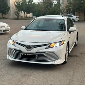 Toyota Camry 2020