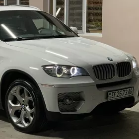 BMW X6 2010