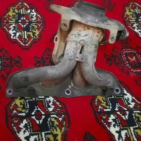 Nissan güjük wersañky kolektor