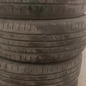 16lyk karollan pakrisgasy