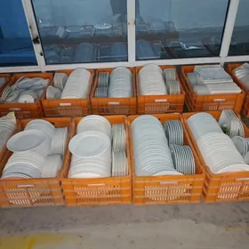 GAP GAÇ PASUDA ALÝAS 