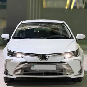 Toyota Corolla 2021