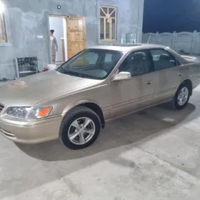 lisicka dwigatel 2.0