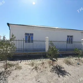 Baherden "Yyly Suw" elitka jay