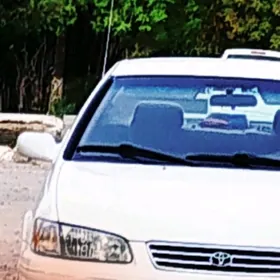 Toyota Camry 1998
