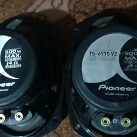 pioneer nikkil 500 lik