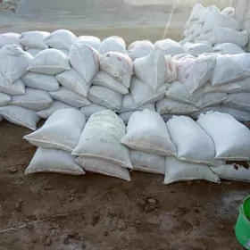 DERS GUM TOYUN CAGE MİTİ PULPA