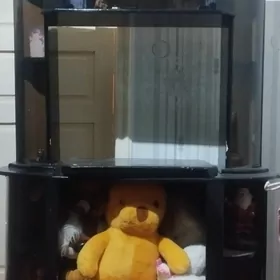 pastawka telewizor un