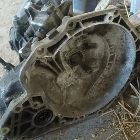 opel Zafiraň karopgasy