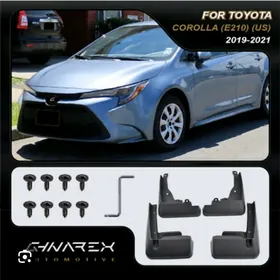 karolla brazgawik 2019.2025