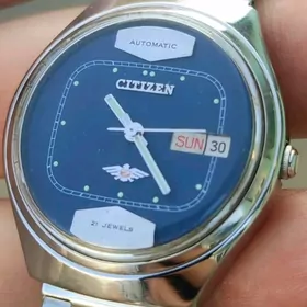 Sagat Часы Citizen.