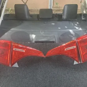 Corollo stopnik çira.