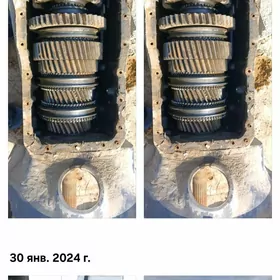 каропка сканйа