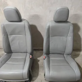 sidenya haylanderiñki