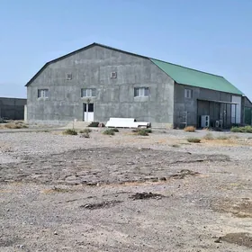 SATLYK TAYYN BIZNES 1.GEKDAR