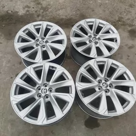 22karola disga arginal