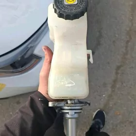 silindir glawny 2021 carolla