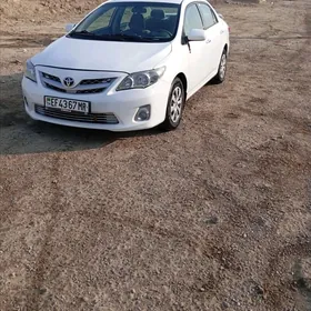 Toyota Corolla 2010
