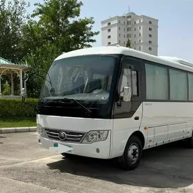 Toyota Coaster 2023