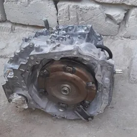 Okuzсamry korobka tazeje2.5m🔥