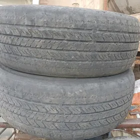 балон тигир