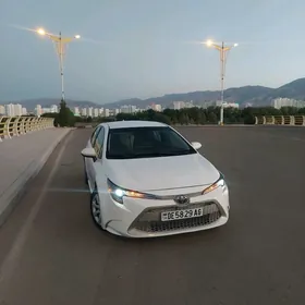 Toyota Corolla 2020